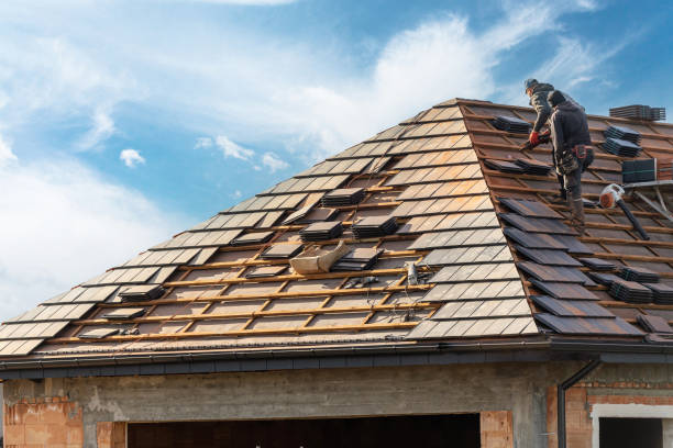 Best Roof Maintenance and Cleaning  in Ingram, PA